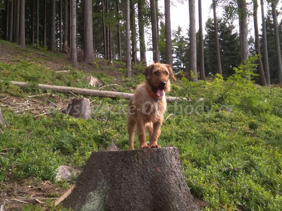 Foto v�robku