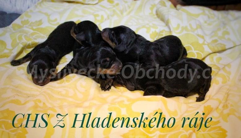 Foto v�robku