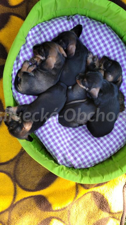 Foto v�robku