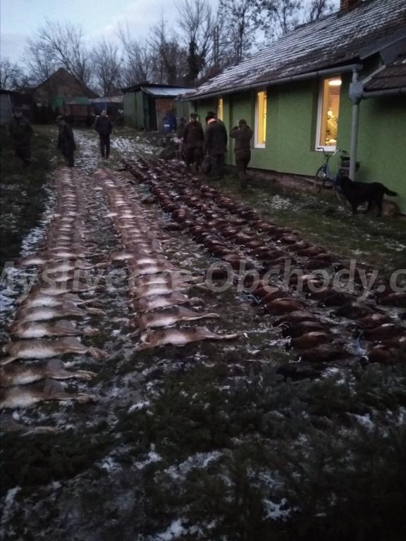 Foto v�robku