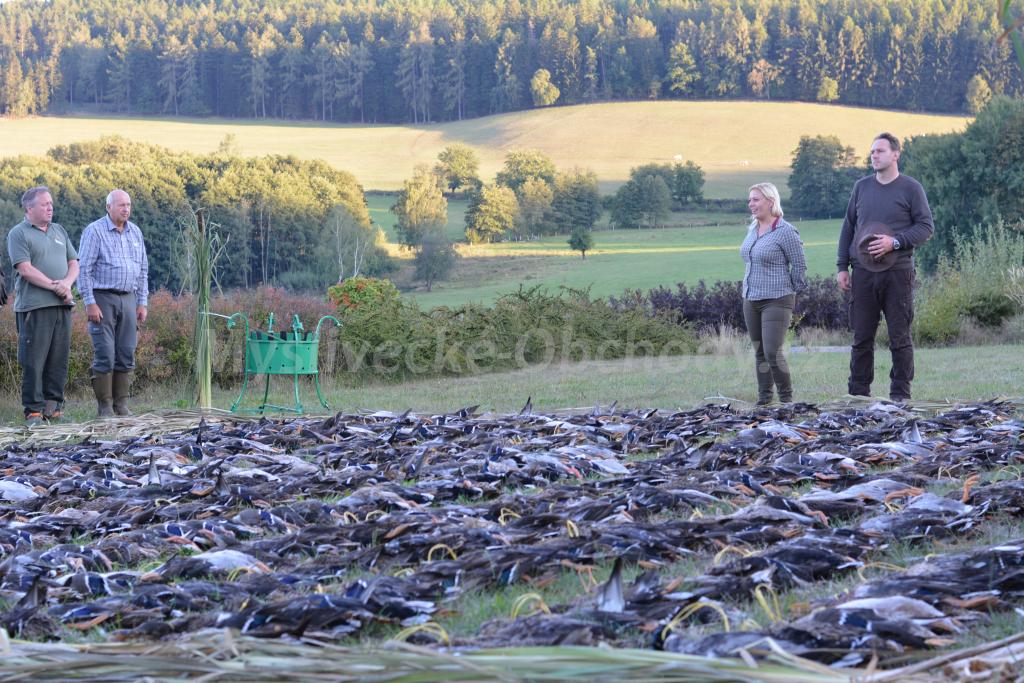 Foto v�robku
