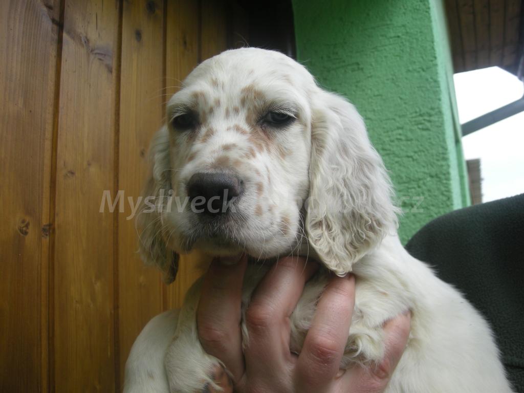 Foto v�robku