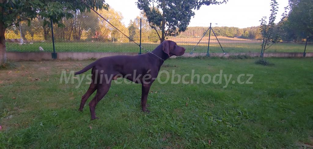 Foto v�robku