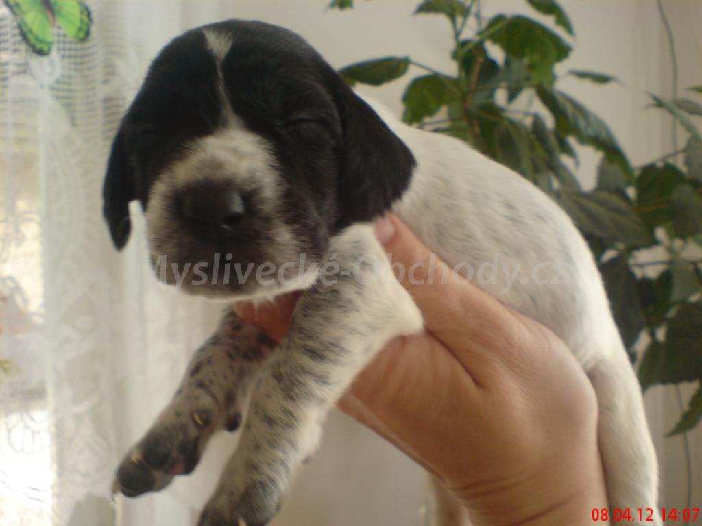 Foto v�robku