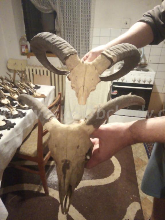 Foto v�robku