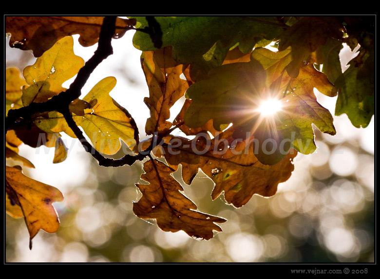 Foto v�robku