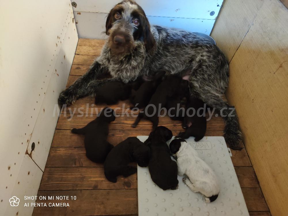 Foto v�robku