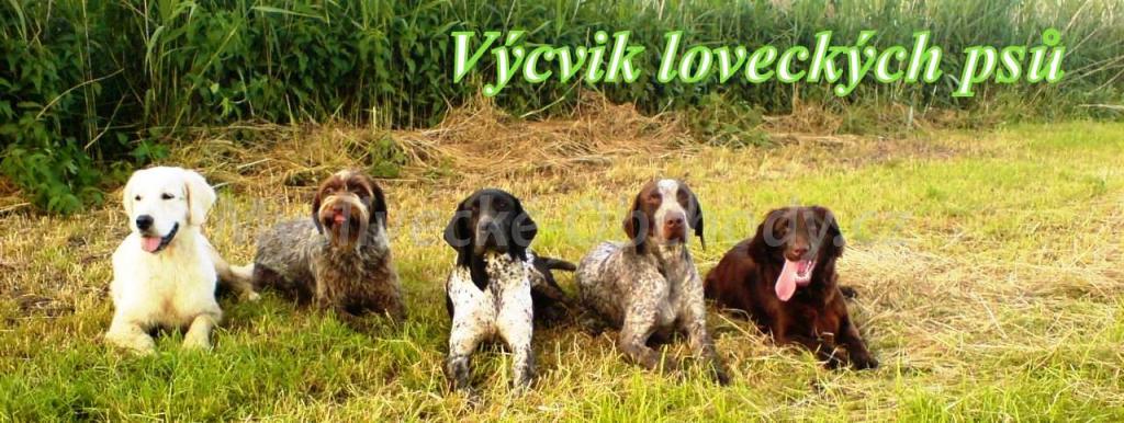 Foto v�robku