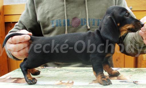 Foto v�robku