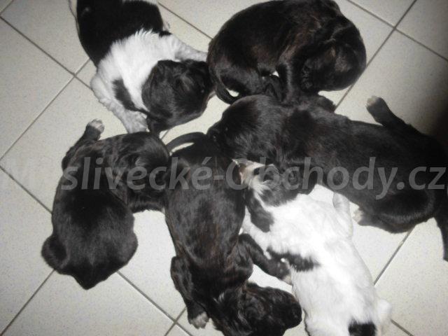 Foto v�robku