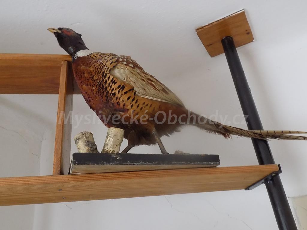 Foto v�robku