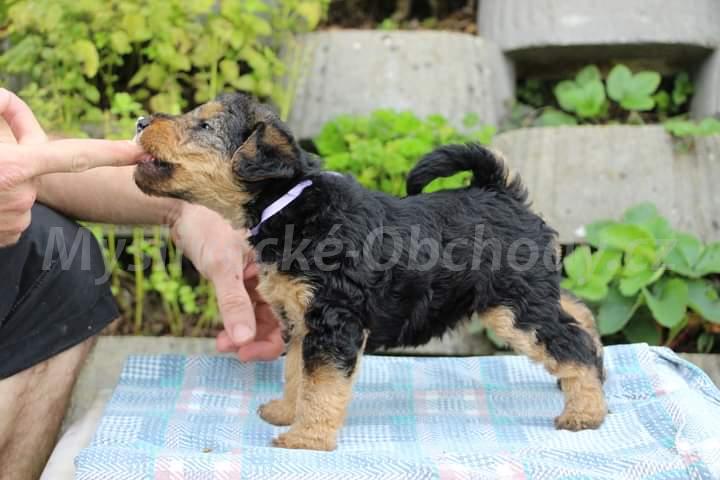 Foto v�robku