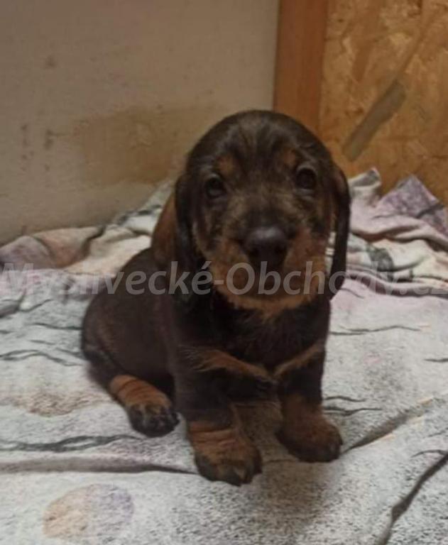 Foto v�robku