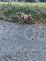 Foto v�robku