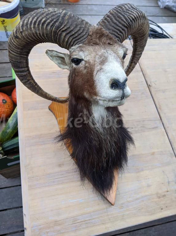 Foto v�robku