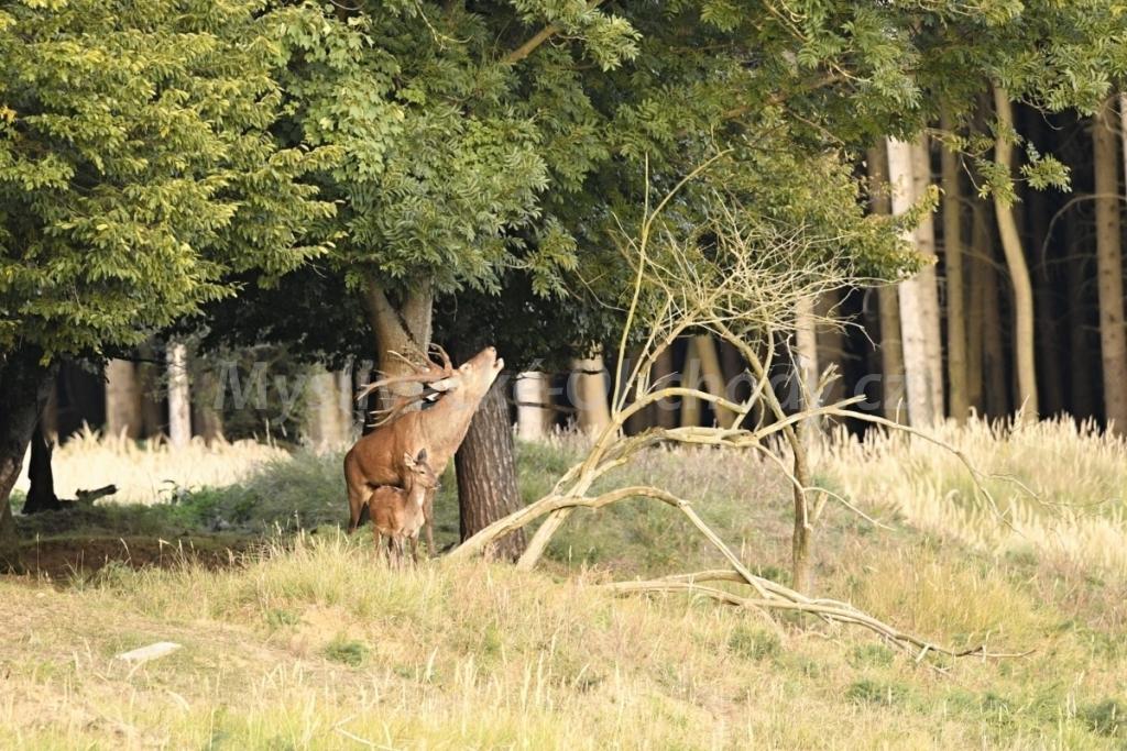 Foto v�robku