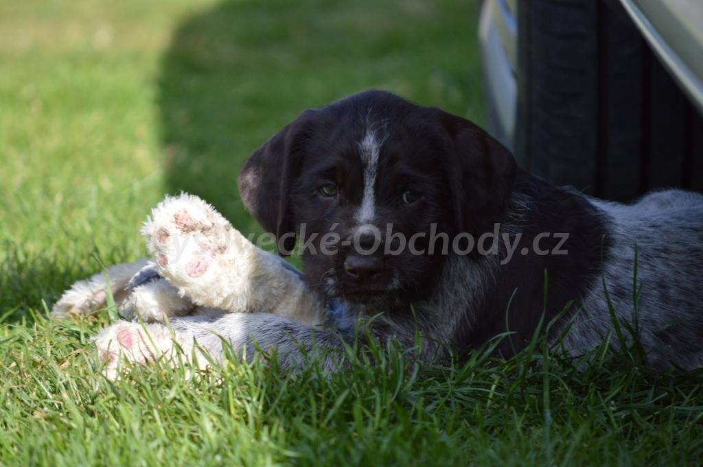 Foto v�robku