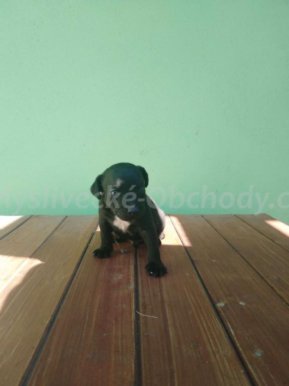 Foto v�robku