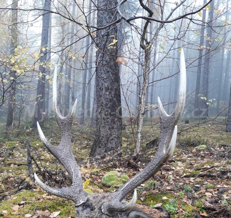 Foto v�robku