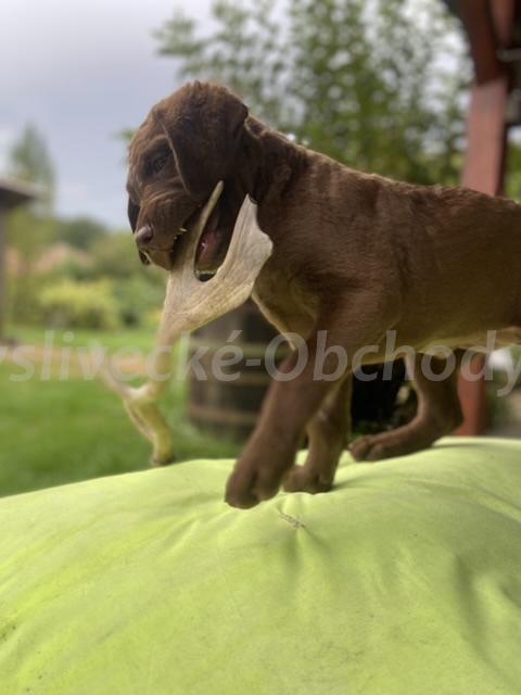 Foto v�robku