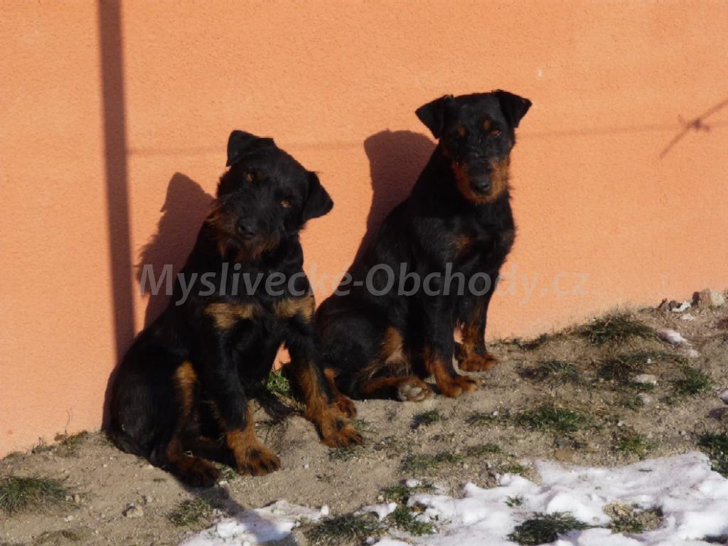 Foto v�robku