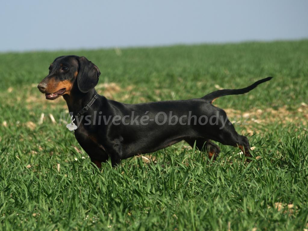 Foto v�robku