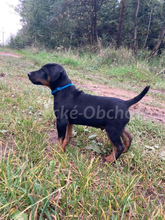 Foto v�robku