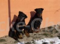 Foto v�robku