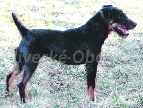 Foto v�robku