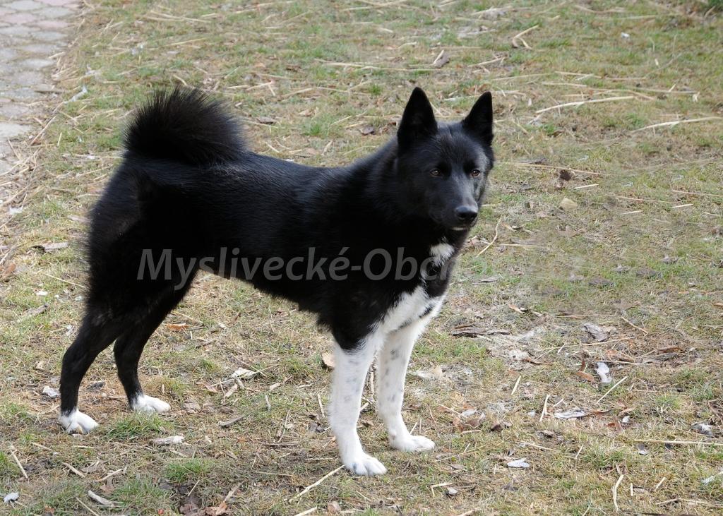Foto v�robku