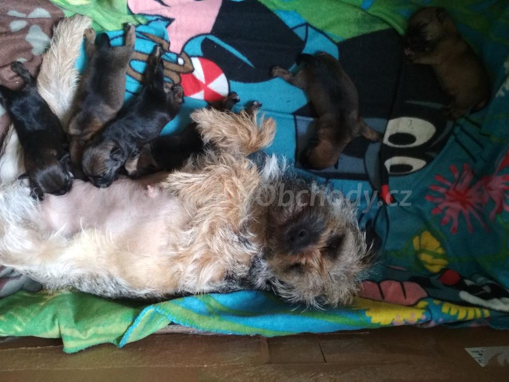 Foto v�robku