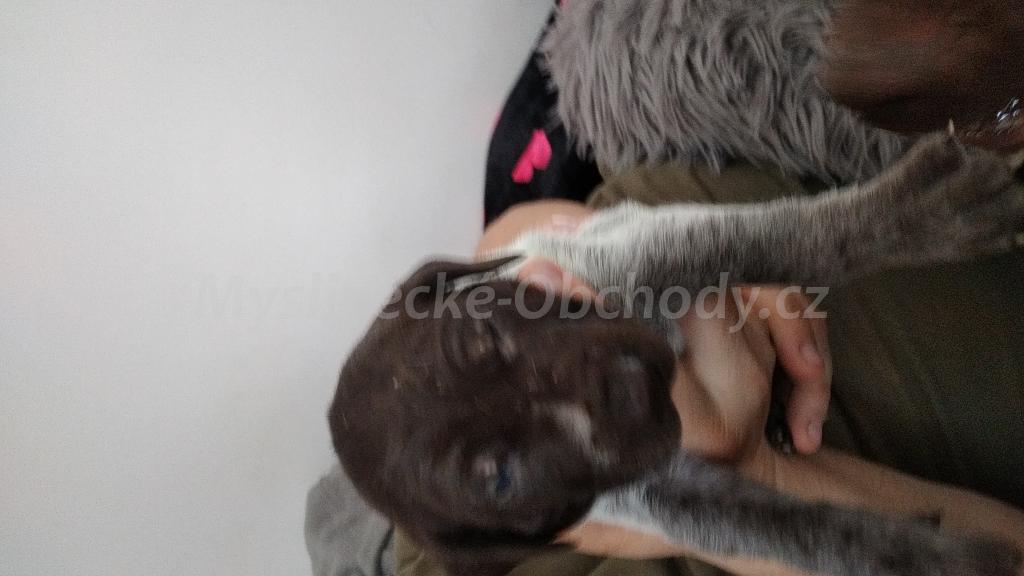 Foto v�robku