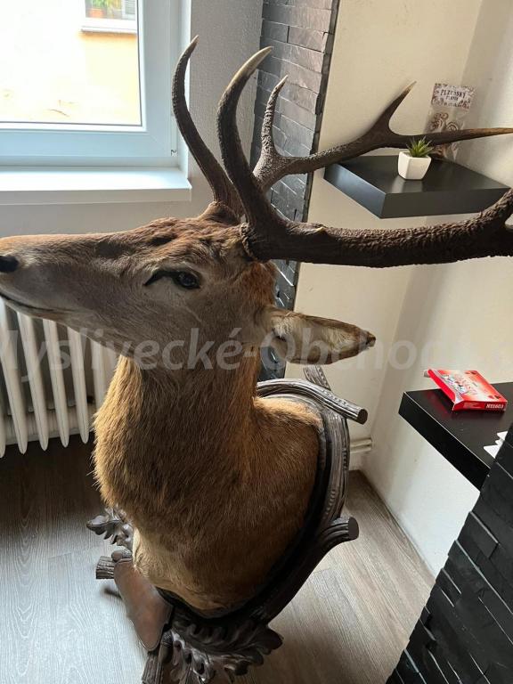Foto v�robku