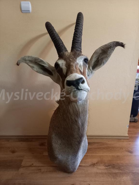 Foto v�robku