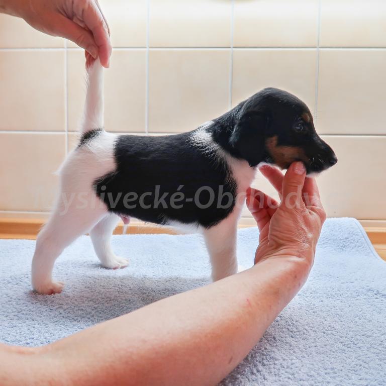 Foto v�robku