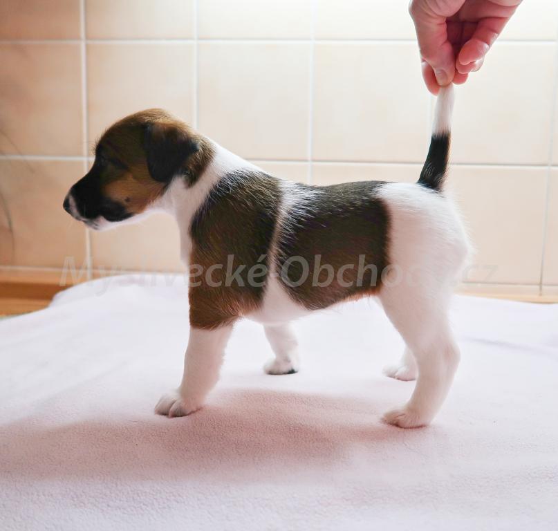 Foto v�robku