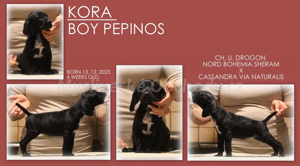 Foto v�robku