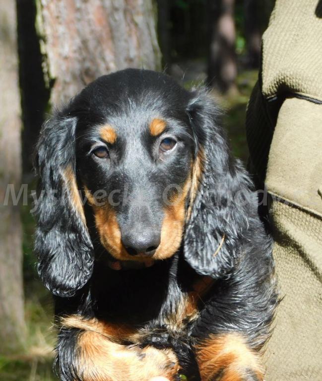 Foto v�robku
