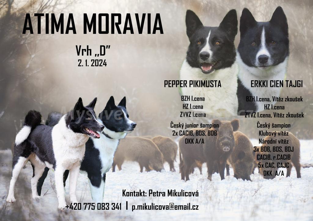 Foto v�robku