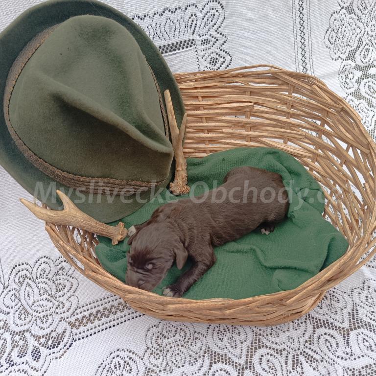 Foto v�robku