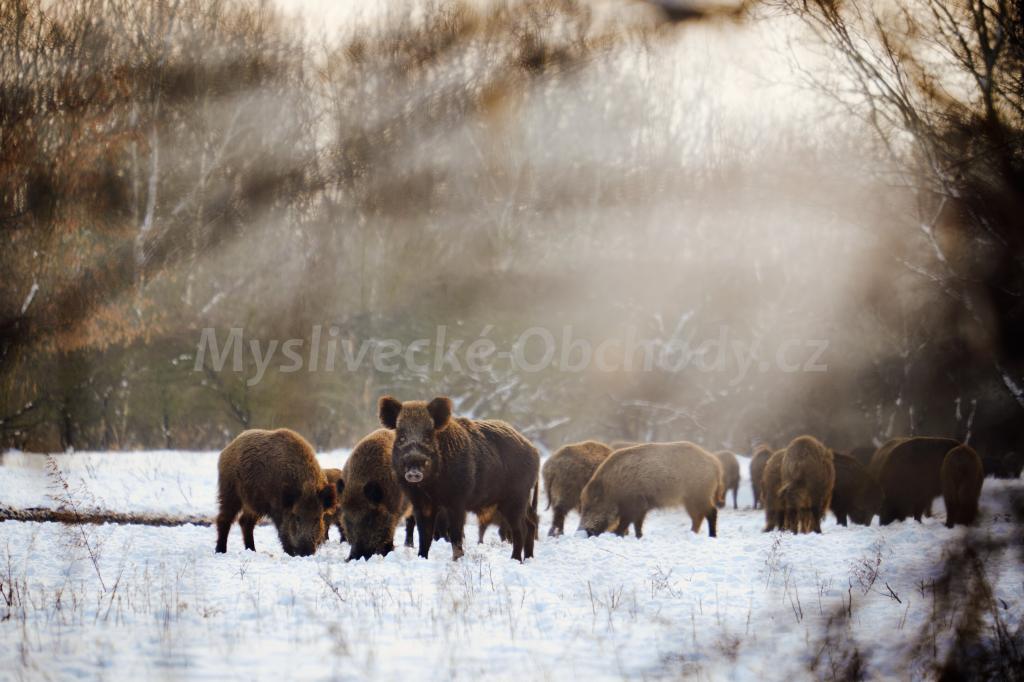 Foto v�robku