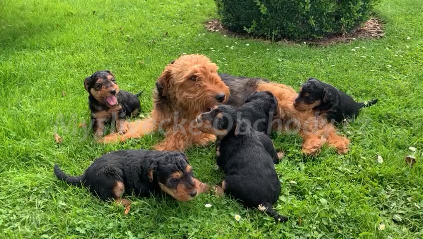 Foto v�robku