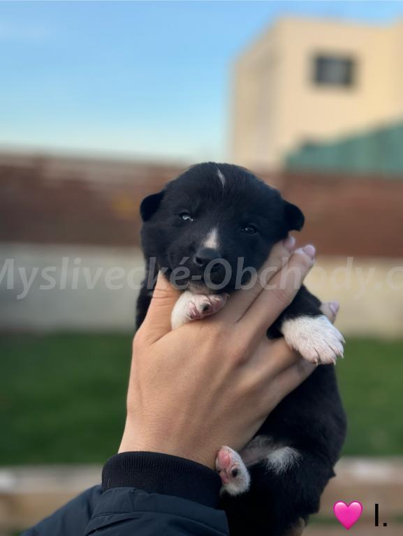 Foto v�robku