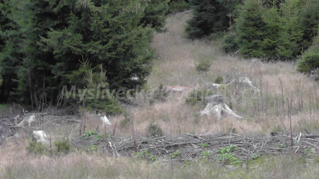 Foto v�robku