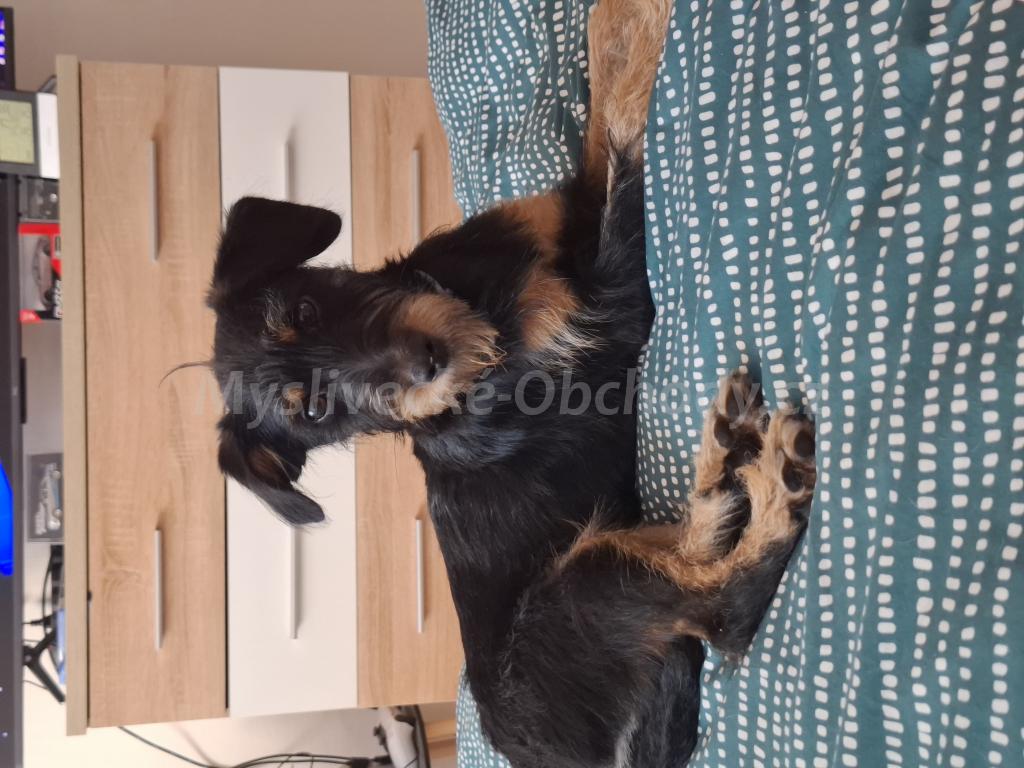 Foto v�robku