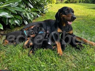 Foto v�robku
