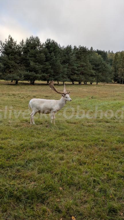 Foto v�robku