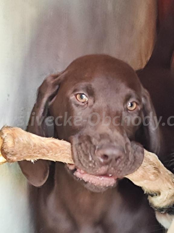 Foto v�robku