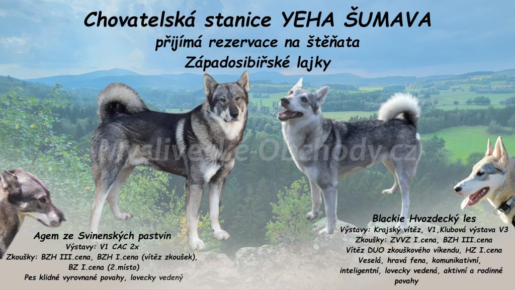 Foto v�robku