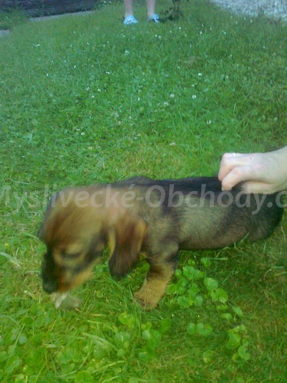 Foto v�robku